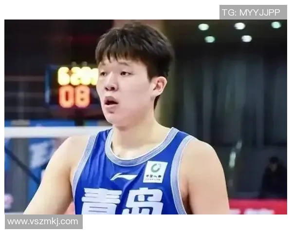 2016年11月6日CBA精彩对决广东队与辽宁队的巅峰对抗回顾 2016年11月6日CBA精彩对决广东队与辽宁队的巅峰对抗回顾